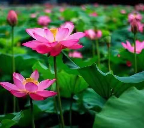 花园村【暑假不打烊】主题活动