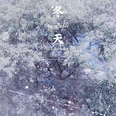 南雪的浪漫