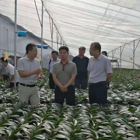 借鉴他山之石  助力乡村振兴——武功县赴杨凌区开展乡村振兴现场观摩学习活动