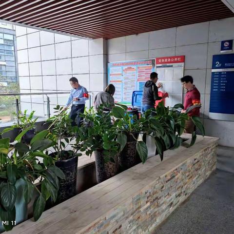 海口市信息中心党支部     开展“垃圾分类，爱清洁，干干净净迎新春” 主题党日活动