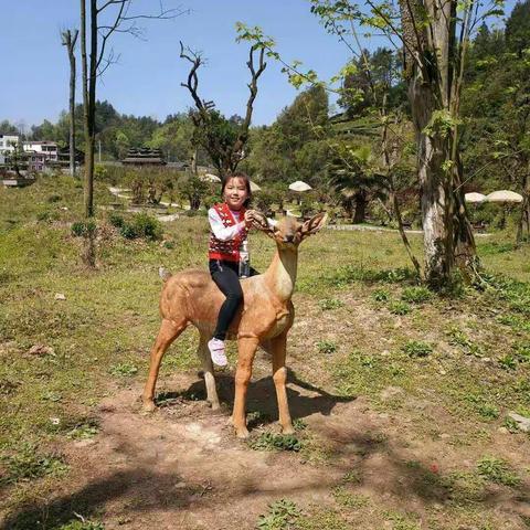 2019逸夫小学302梦幻中队——欧阳秋雪 ——欧阳秋雨——的春假实践活动