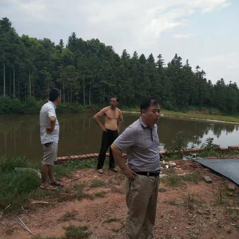 7月20日下午，谭好强主任率办点干部丁利民，来到办点村麻城村对四户易地搬迁户进行专项检查并提整改意见。