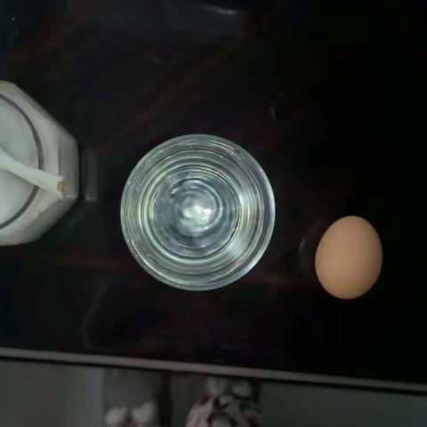 鸡蛋浮沉五2班陈芷煊1.19