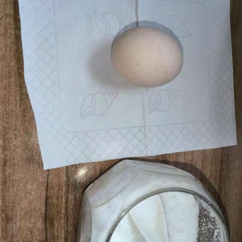 站立的鸡蛋五二班陈芷煊1.17