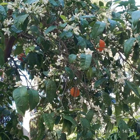 希腊.我们在疫情中