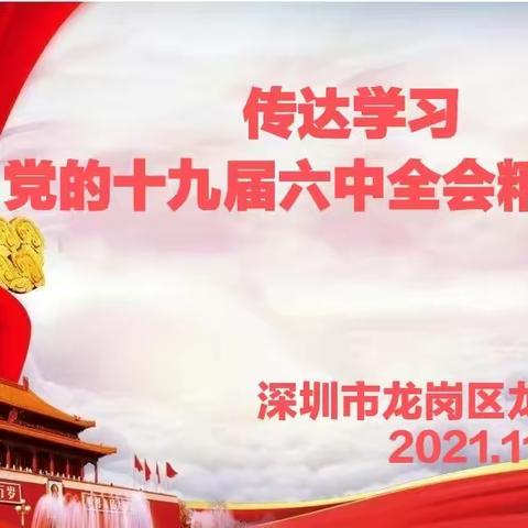 龙洲学校传达学习党的十九届六中全会精神会议