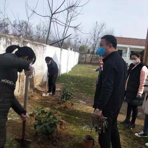 约会春天，拥抱绿色——闻集中心小学植树活动
