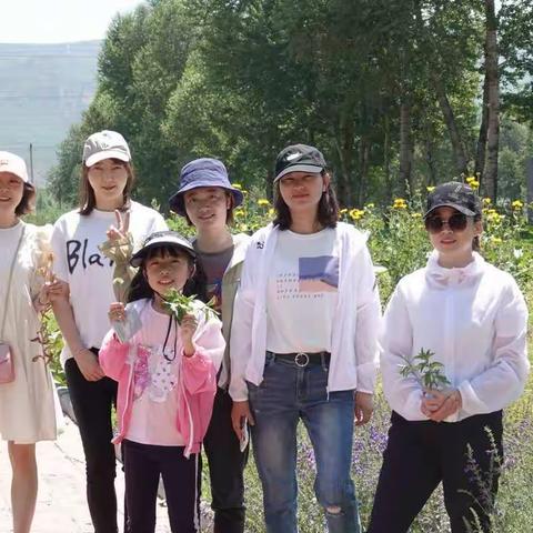 《沐浴在暖风里的国粹仙葩》