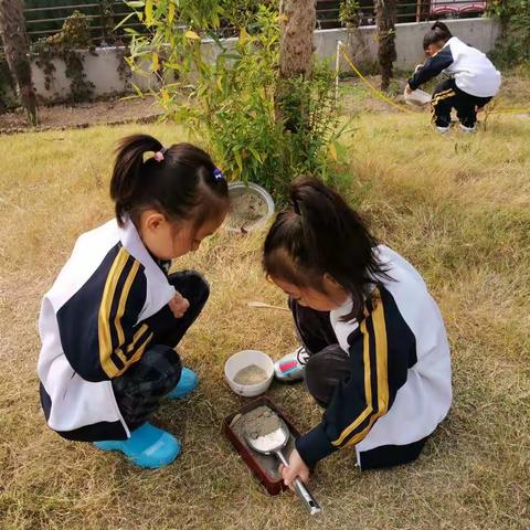 草地上的“陀螺”