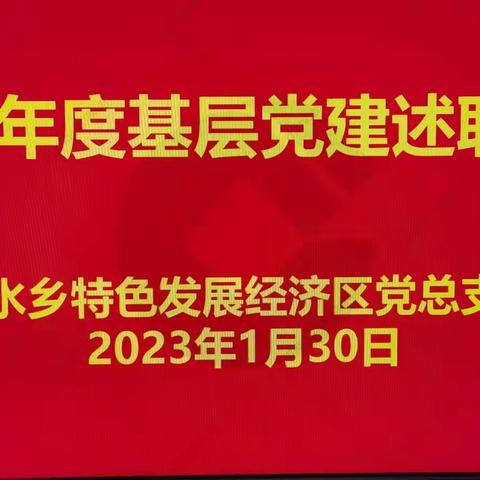 水乡特色发展经济区党总支组织开展2022年度基层党建述职评议