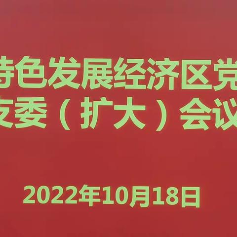 杨志勇参加水乡特色发展经济区党总支支委（扩大）会议