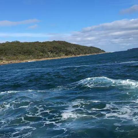 澳大利亚之旅#收尾