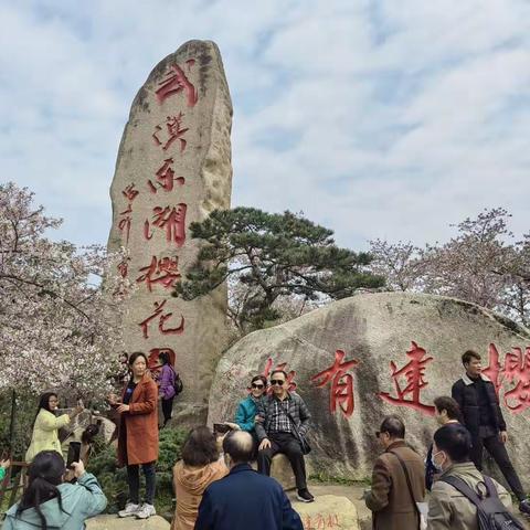 东湖磨山景区 东湖樱花园（手拍）