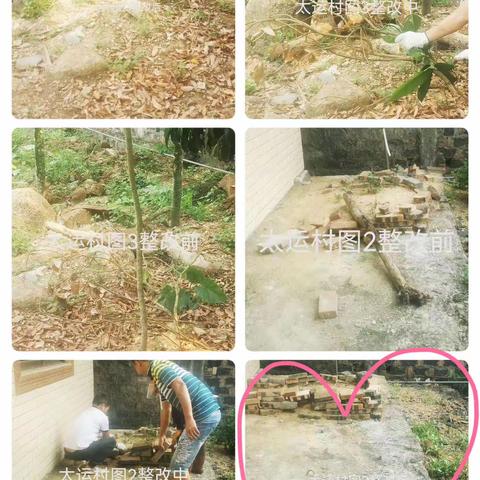 占符村委会人居环境整治“夏季战役”专项活动