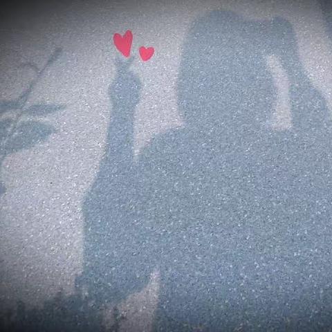 我和我的她