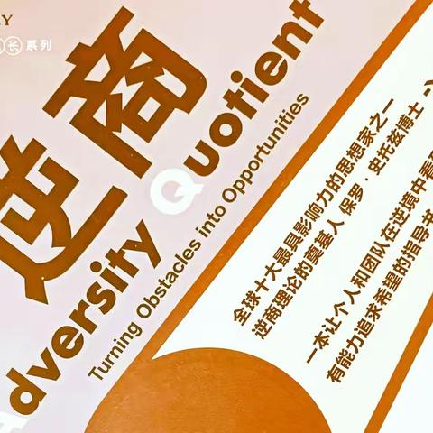 反弹力——不做人生的放弃者和扎营者