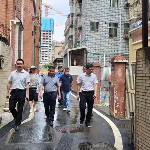 光明街道公共事务中心主任小强同志带队开展“行走光明”行动