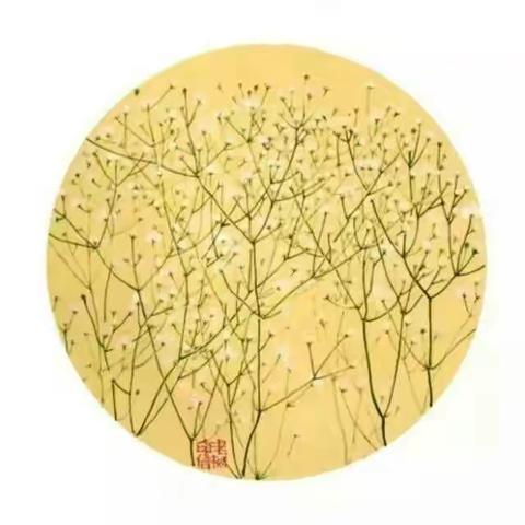 桑植【逸云硬笔】书法之星作品选展