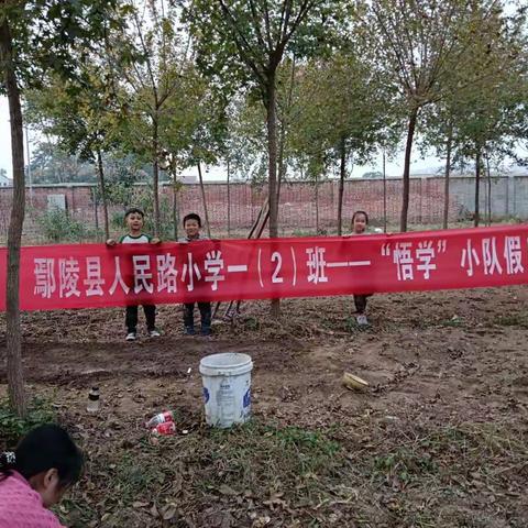 “一份耕耘，一份收获”——人民路小学一年级（2）班“悟学小队”社会实践活动