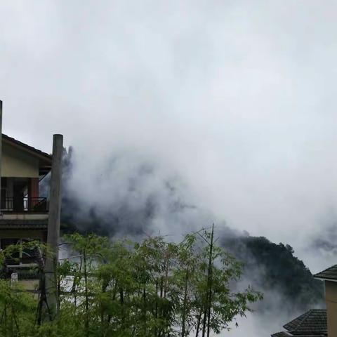 四面山雨中漫步！