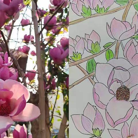 唯艺教育四月日记画大赛