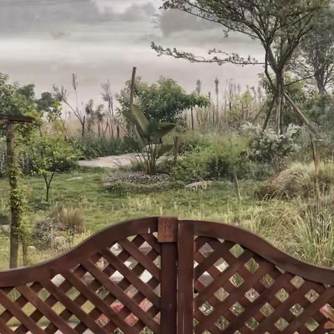 九伊.蝶（2022春）