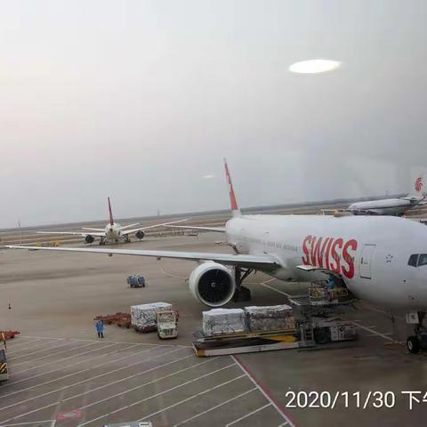 新冠疫情下的回国历程（上）