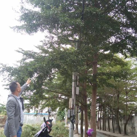 水蛟村委会开展安全生产工作