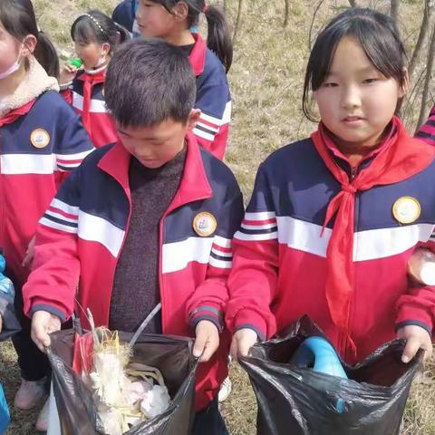 学雷锋月遇到植树节——郑卢小学三年级主题活动“我是环保小卫士”纪实