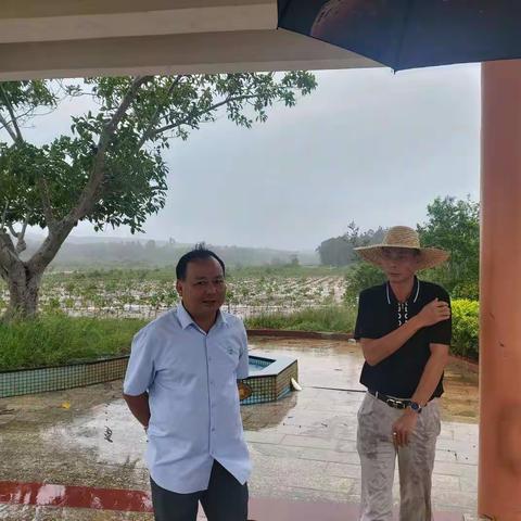 10月9日土地运营部到湿地公园查看防风防汛工作