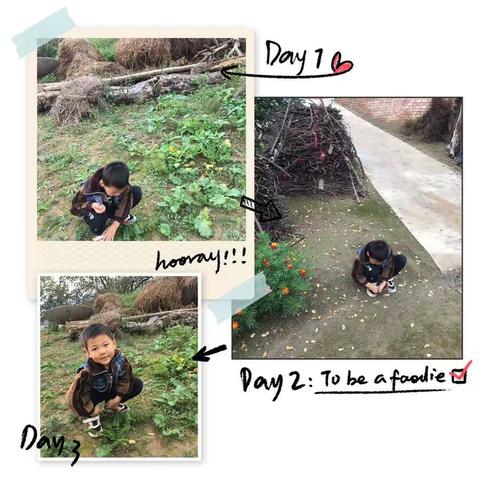 秦安县第二幼儿园大二班宝贝国庆秋游记