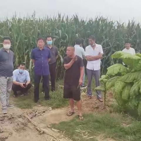 参观学习促思想转变   共同谋划创产业兴旺