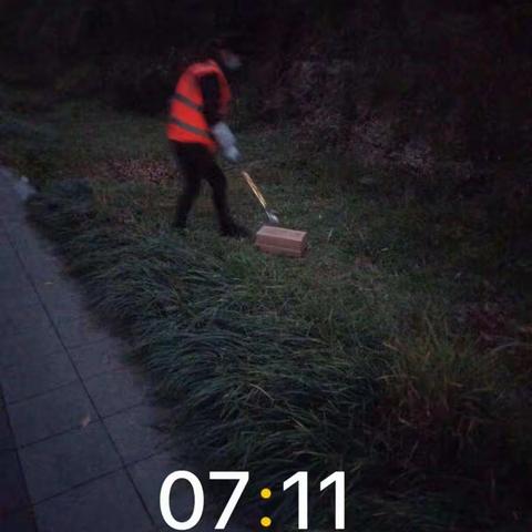 长沙玉诚环境景观工程有限公司双龙分公司生产作简报