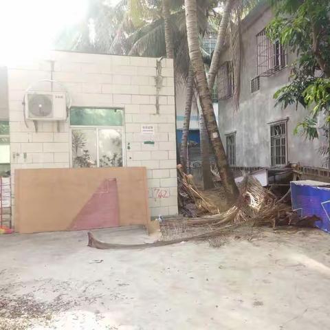 区人社局到海罗村开展人居环境整冶工作简报