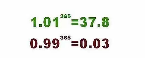 在暗处执着生长，终有一日馥郁传香。