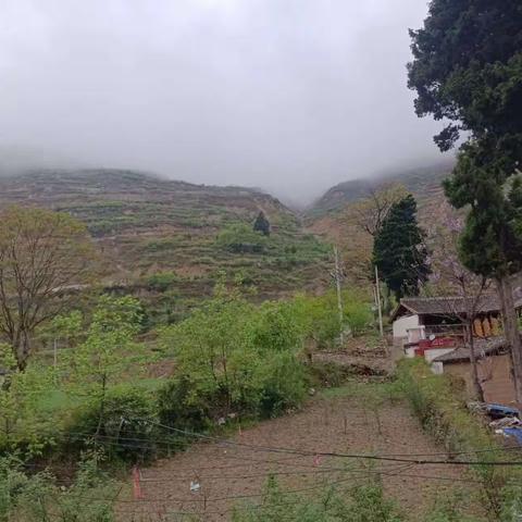 中路河保护站降雨情况