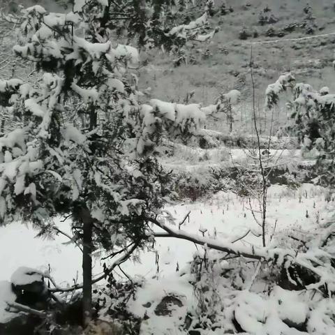 中路河保护站管护辖区降雪情况