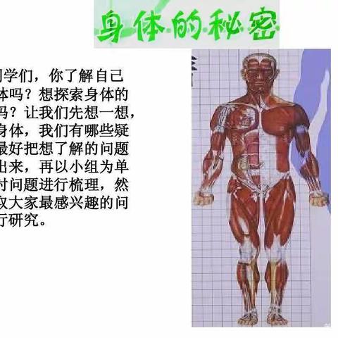 大地幼儿园大3班十月份教学主题活动——《身体的秘密》