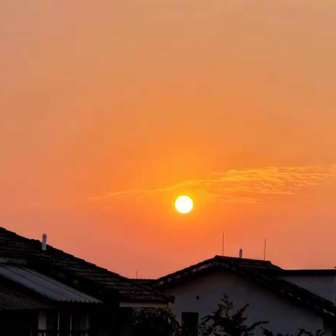 深秋之朝日