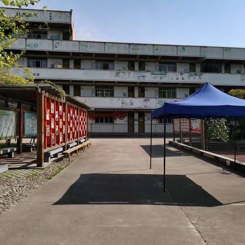 聚焦核心素养，促进学生成长——蓝雪霞名师工作室送教丽新民族小学