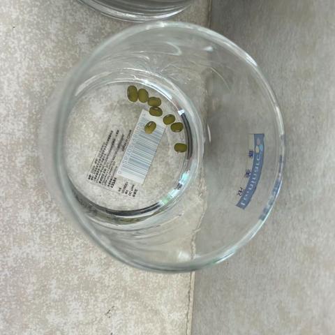 绿豆发芽成长记（四年三班朱忆铭）