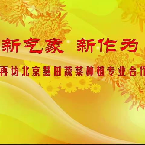 新气象 新作为 ﻿——再访北京慧田蔬菜种植专业合作社