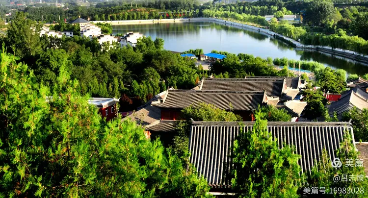 绚丽海棠树价格及图片