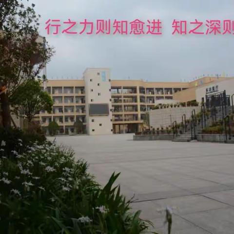 最美思源四月天｜新邵思源学校第十二周工作总结
