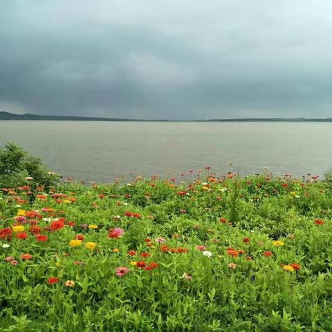 水库小游记