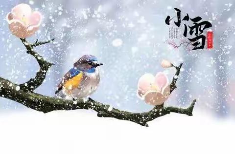 “小雪到，冬始俏”——团结幼儿园二部小雪节气主题活动