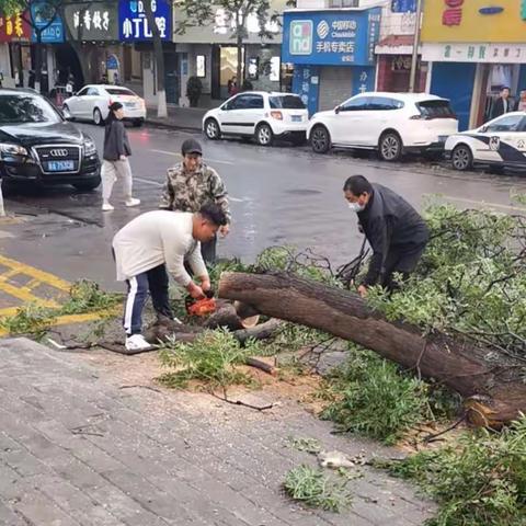 暴风雨后，绿化人在行动