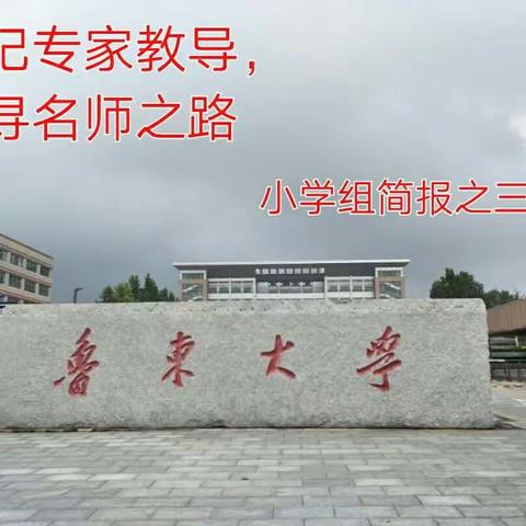 铭记专家教导，追寻名师之路——小学组简报之三