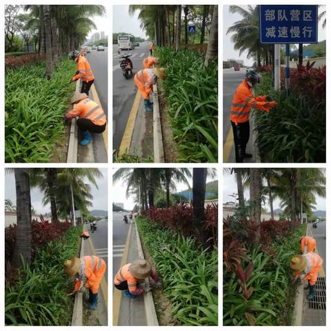做好复工以后的绿化现场作业，整治现场不良绿化花卉现象。2020.4.14