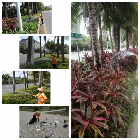 提升道路隔离带存活率，各组员工视实际情况加强浇灌以及卫生整治专项检查。2020.4.22
